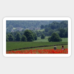 Field of poppys  near baslow in derbyshire with chatsworth house in the distance Sticker